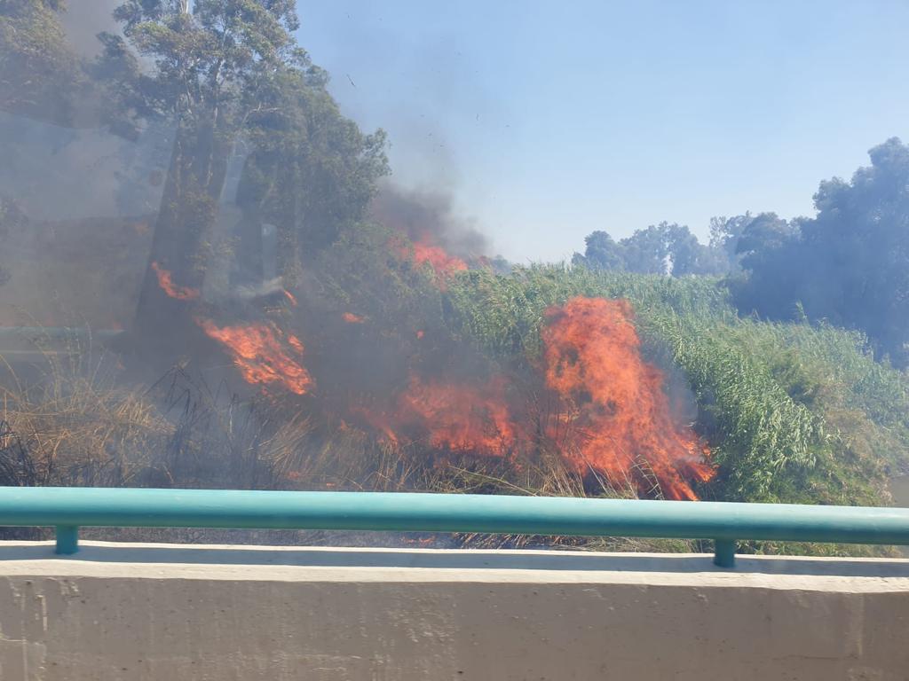هضبة الجولان : حريق كبير في منطقة اشواك وعرية.