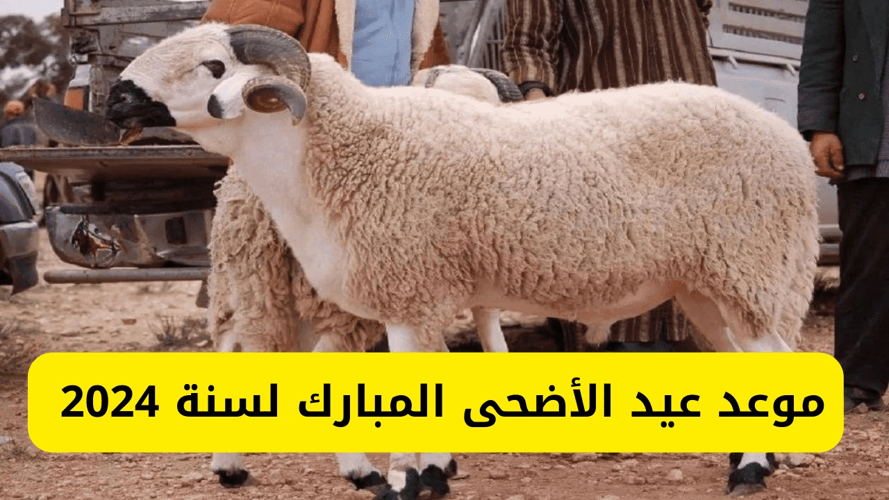 رئيس معهد الفلك المصري يكشف موعد أول أيام عيد الأضحى